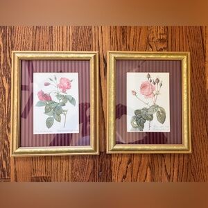 Vintage Pierre-Joseph Redouté botanical illustration framed artwork set of 2